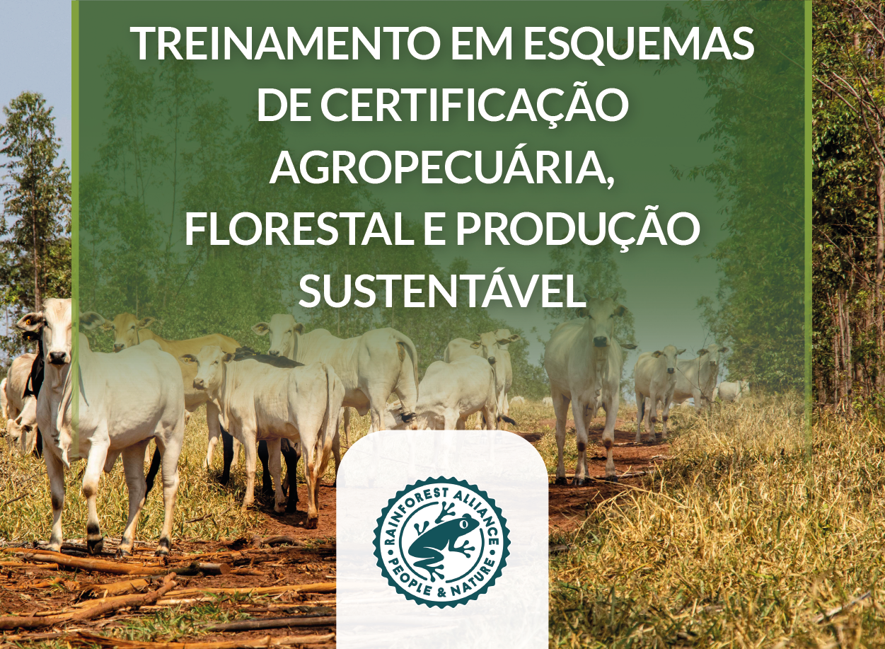 Treinamento em esquemas de certificação agropecuária, florestal e produção sustentável: Rainforest Alliance